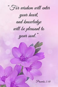 wisdom quotes for the wise woman 2. wise woman builds